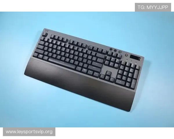 乐鱼真人app多平台兼容性分析，支持多设备无缝切换的优质体验