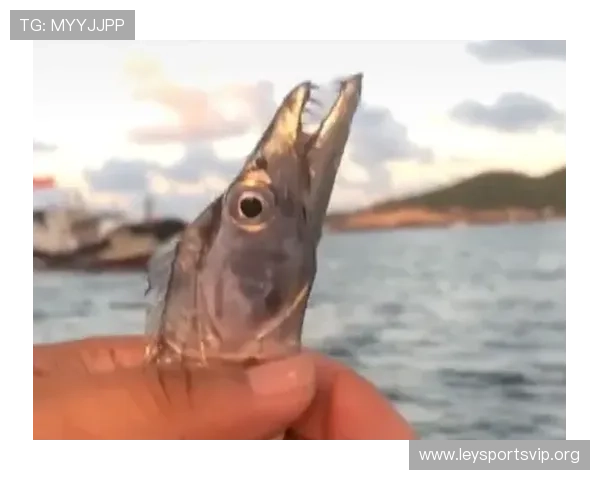 乐鱼网最新消息：最新赛事动态及时掌握全方位体育新闻分析